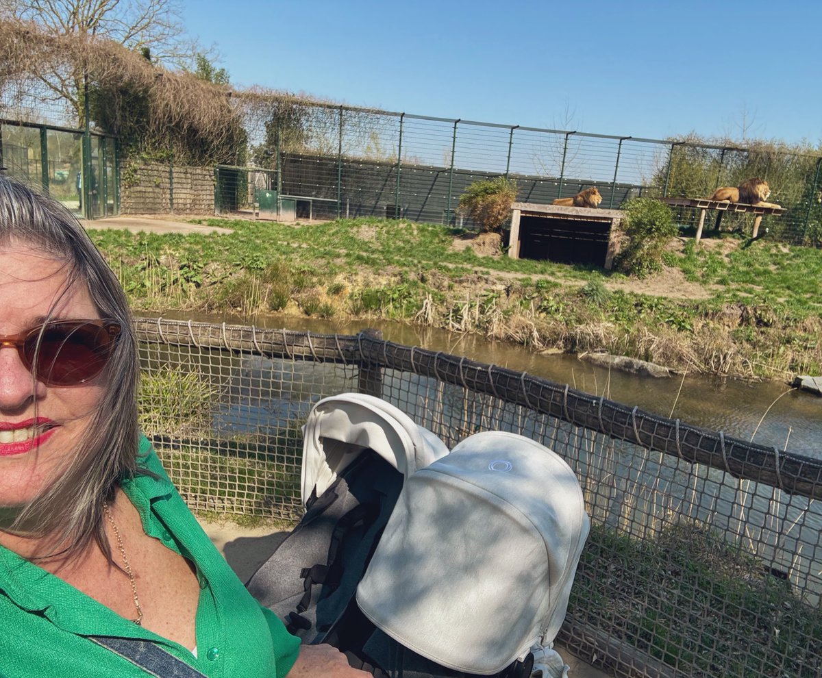 Marjolein Steffens tweet media