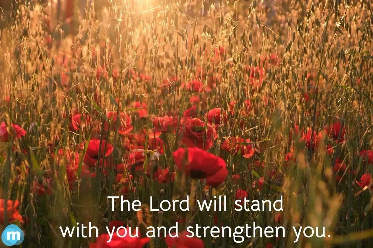 Margiemcdaniel's tweet photo. ￼Whatever you are going through, make sure you are not allowing your emotions to guide you. ￼God wants to intervene in your situation. Trust him! #lifecoach #faith #words #feelings #bible https://t.co/PKiAbidSai