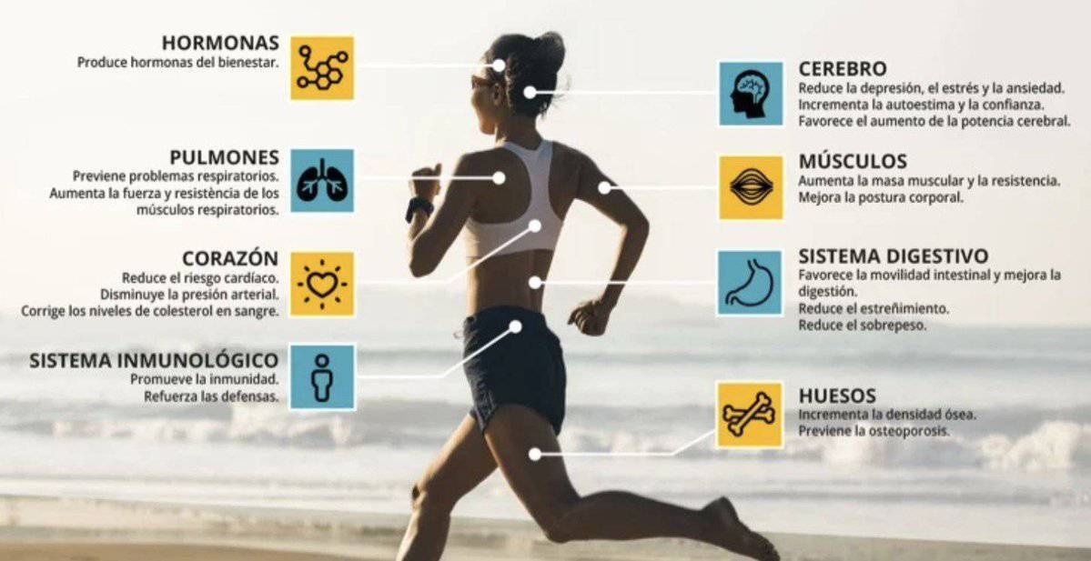 Sobre el impacto de hacer ejercicio en nuestro organismo y en nuestro cerebro