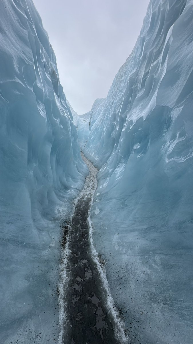 cSapphire tweet media