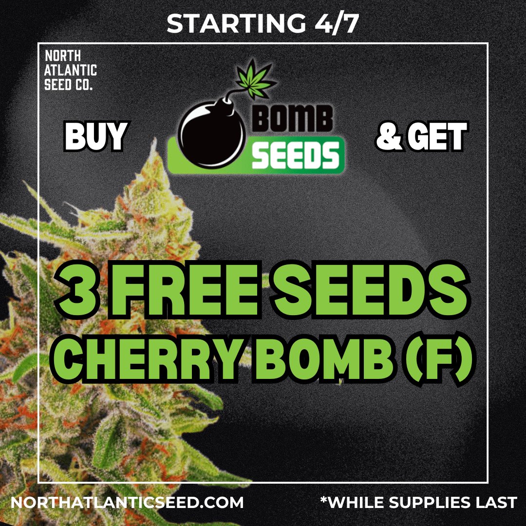 Bomb Seeds Freebies 💣
Starts Tomorrow 💥

Get 3 FREE Cherry Bomb Fem Photo seeds with every Bomb Seeds pack purchased!🍒

While supplies last. No s@les on social media.