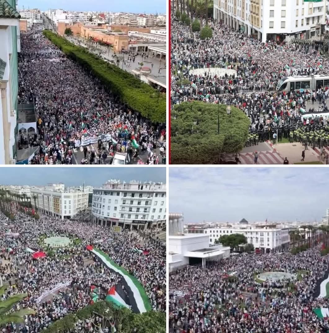 بالأمس كانت مهندسة ميكروسوفت المغربية ابتهال ابو السعد تصدع بالحق واليوم أهل بلاد المغرب الأحرار ينتفضون بالشوارع..

 الصور من العاصمة الرباط اليوم