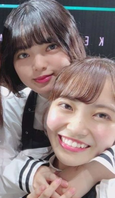 欅坂46(けやき坂46) - 引退品。欅坂46 まとめ売り　平手友梨奈　森田ひかる　など 欅坂46(けやき坂46) - 引退品。欅坂46 まとめ売り 平手友梨奈 森田