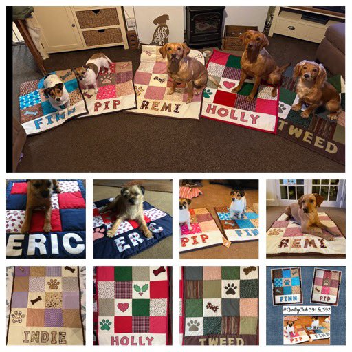 erictheborder's tweet photo. @ArchieThePatti We are very proud to be part of the #qwiltyclub Eric had 2, and the grandfurs have one each. We are an 8 quilt family and we love them all, they’re fabulous!❤️
#btposse https://t.co/PfSDSOiRxn