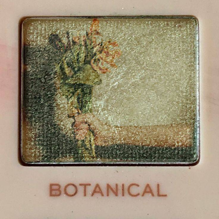 prettiestavenue's tweet photo. prettiest eye shadow https://t.co/Eu8tVtRIsl