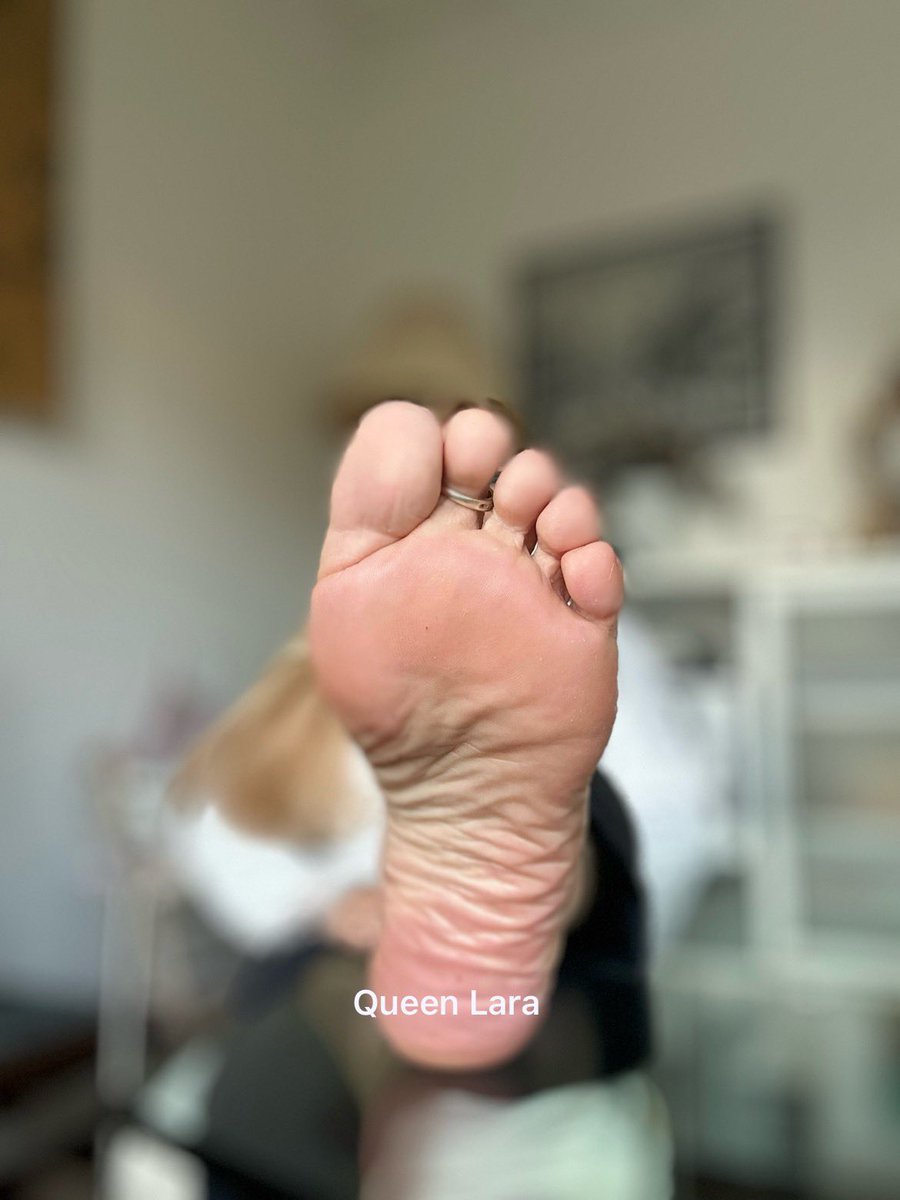 Mein kleines Hündchen, sei brav und gehorche, dann darfst du vielleicht auch einmal vor meinen weichen Sohlen sitzen und daran riechen und lecken 👅 

Sohlen, Hundezwinger ,
Fußfetisch 

<a href="/dev_oted/">❤️‍🔥FinDom FemDom is life | RT | QT | Promo | 💫</a> 
<a href="/footaddict88/">GoddessValeLoserFootAddictBitch</a> 
<a href="/solesloverI/">San ~ God's intent with a Devil's 💙</a> 
<a href="/rt_feet/">Feet RT PROMO 💯K (ROAD TO 200K!)</a> 
<a href="/tom171317/">Femdom/Findom Europe</a> 
<a href="/TheAaron360/">꧁𓊈𒆜 𝓐𝓪𝓻𝓸𝓷 🦍𝓕𝓮𝓮𝓽🦶𝓟𝓾𝓼𝓼🐱🅶🅾🅳𒆜𓊉꧂</a> 
<a href="/Solesshoutouts/">Solesshoutouts007 15k 🦶</a>