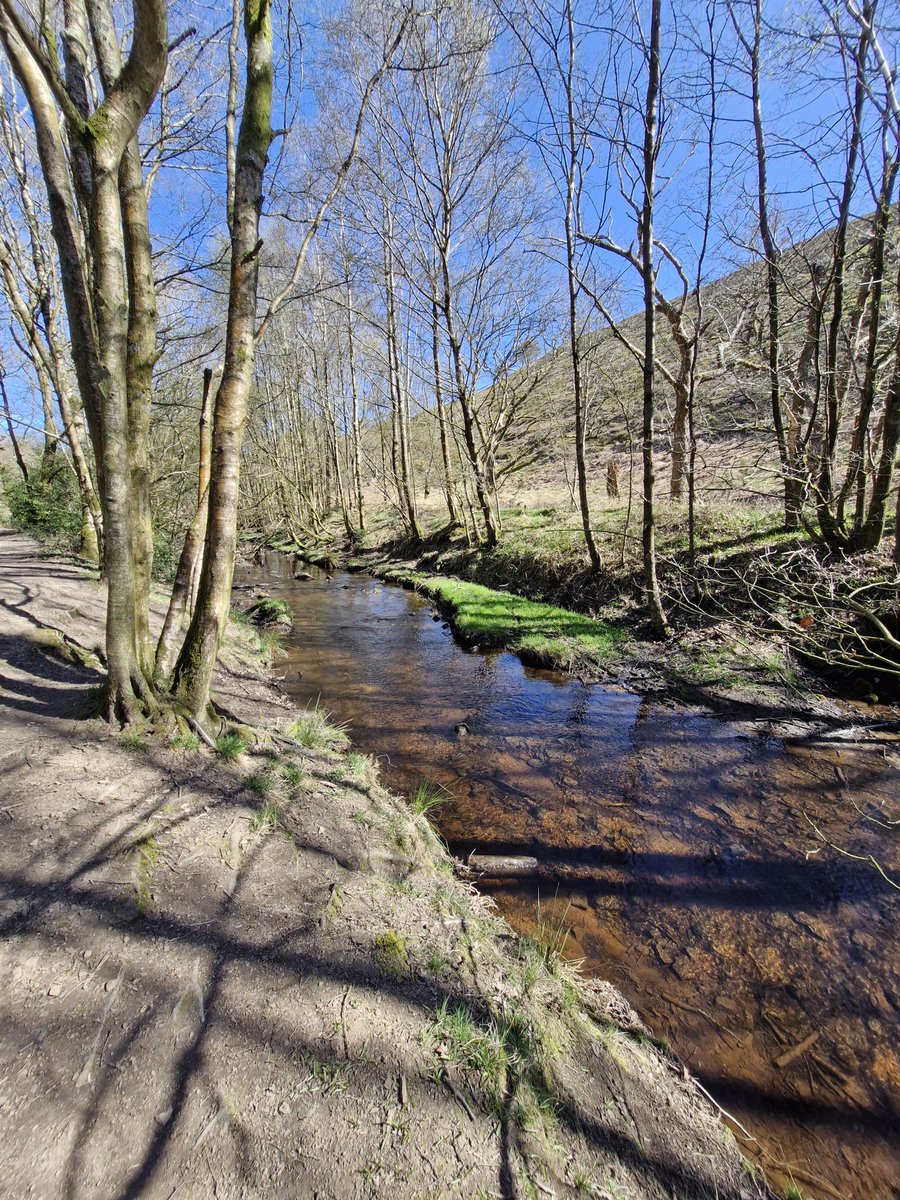 markclark (@clarkmark92) on Twitter photo Lovely family walk from White Coppice to Copice Stile, then looped back round down to White Coppice. A beautiful Spring Sunday ππΆββοΈ
<a href="/InChorley/">Chorley in Pictures</a> <a href="/StormHour/">#StormHour</a> <a href="/WhiteCoppiceCC/">White Coppice CC</a> <a href="/AnglezarkeNet/">Anglezarke</a> <a href="/VisitLancashire/">visitLancashire.com</a> Lovely family walk from White Coppice to Copice Stile, then looped back round down to White Coppice. A beautiful Spring Sunday ππΆββοΈ
<a href="/InChorley/">Chorley in Pictures</a> <a href="/StormHour/">#StormHour</a> <a href="/WhiteCoppiceCC/">White Coppice CC</a> <a href="/AnglezarkeNet/">Anglezarke</a> <a href="/VisitLancashire/">visitLancashire.com</a>