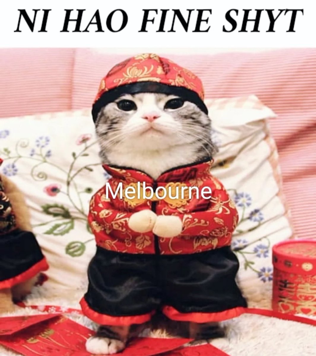 Cat Posted tweet media