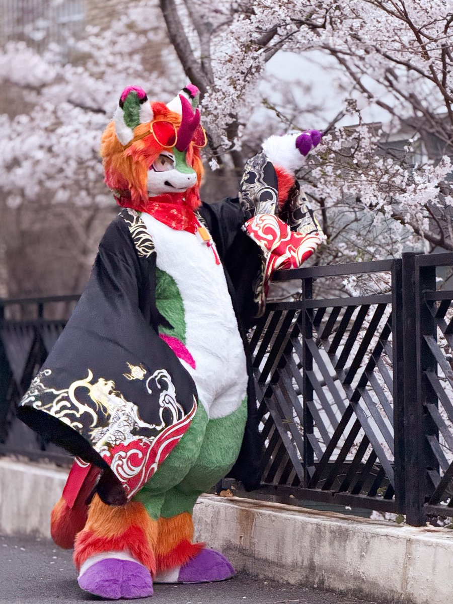 春風輕拂櫻花雪
片片飛紅入夢中

📸 @ Noel_Goldy 
#FursuitEveryday