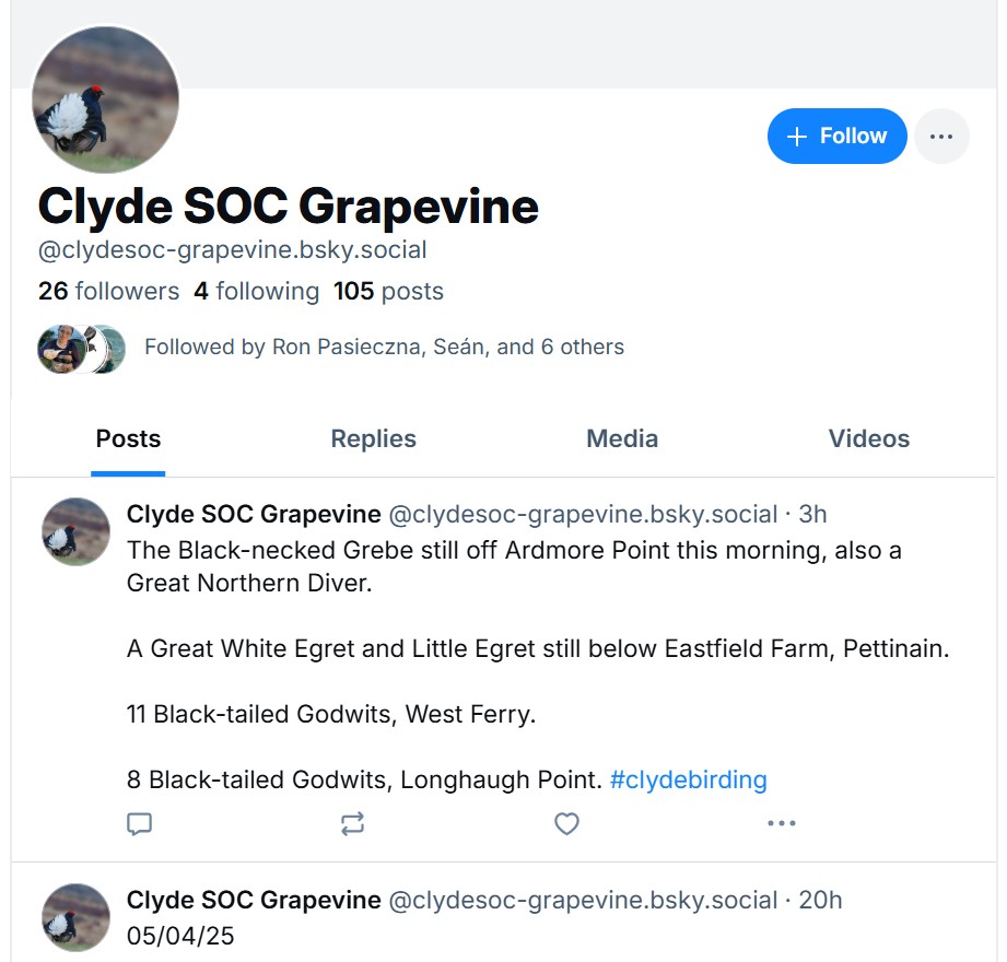We are retiring our X account. A number of birders and naturalists have moved over to Bluesky, we have too. You can find us over there at: 
bsky.app/profile/clydes…

This account will be left open so you'll still be able to see our tweets but there will be no future updates. 1/2