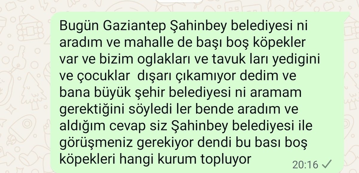 Bu başı boş köpekleri hangi kurum topluyor bu belediyeler neden bir birinin üzerine atıyorlar <a href="/RTErdogan/">Recep Tayyip Erdoğan</a> <a href="/FatmaSahin/">Fatma Şahin</a> <a href="/gantepvaliligi/">Gaziantep Valiliği</a> <a href="/mtahmazoglu/">Mehmet Tahmazoğlu 🇹🇷</a> <a href="/melih_meric/">Melih Meriç</a> <a href="/ugurkalkan1923/">Uğur Kalkan</a>