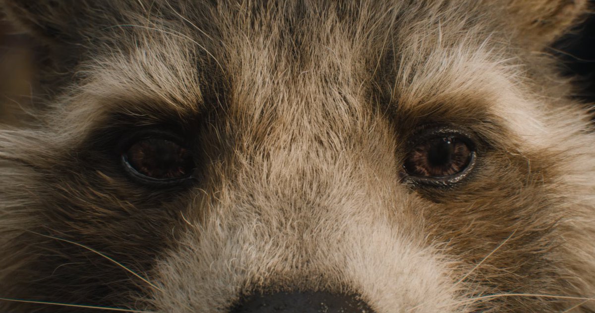 marvel_shots's tweet photo. Guardians of the Galaxy Vol.3 [4K] https://t.co/oLVVKAU2QR