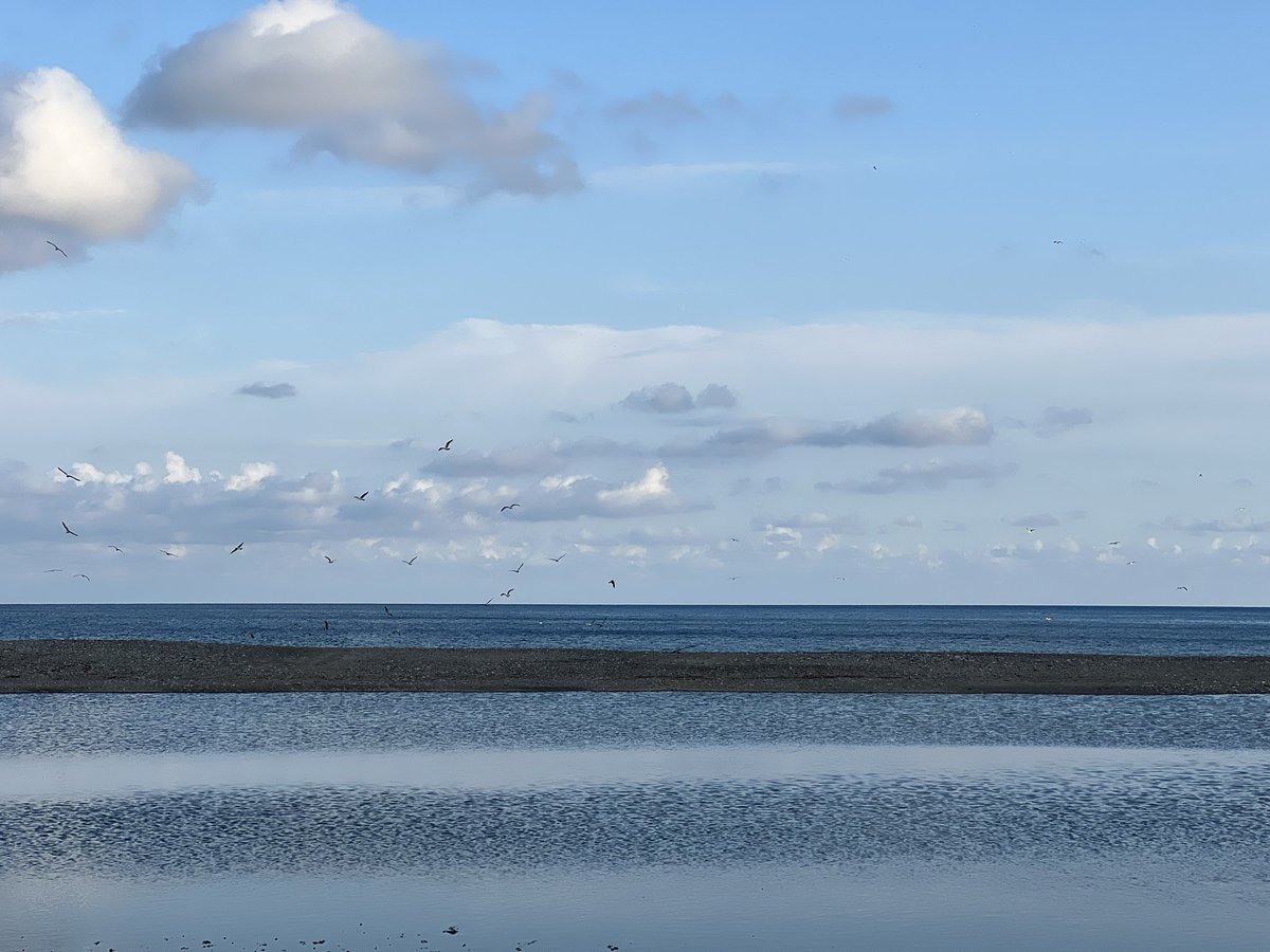 Un affascinante incontro tra due ambienti acquatici distinti, evidenziando un confine che è sia fisico che chimico e che riveste una grande importanza ecologica. #Mingardo #Mediterraneo #ArcoNaturale