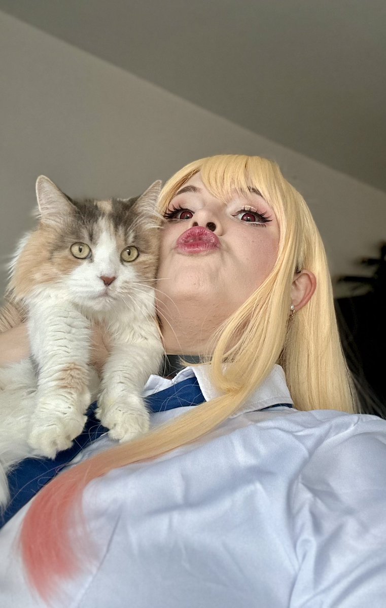 Melo @Animuc tweet media