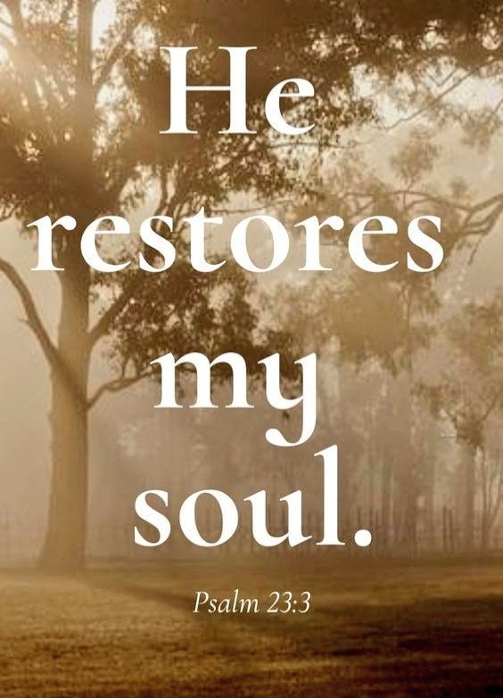 The__Bible7's tweet photo. Psalm 23:3 https://t.co/CCw8Y48ntJ