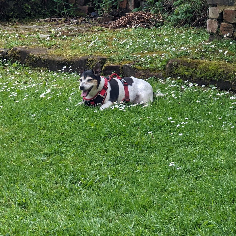 Fairhurst tweet media