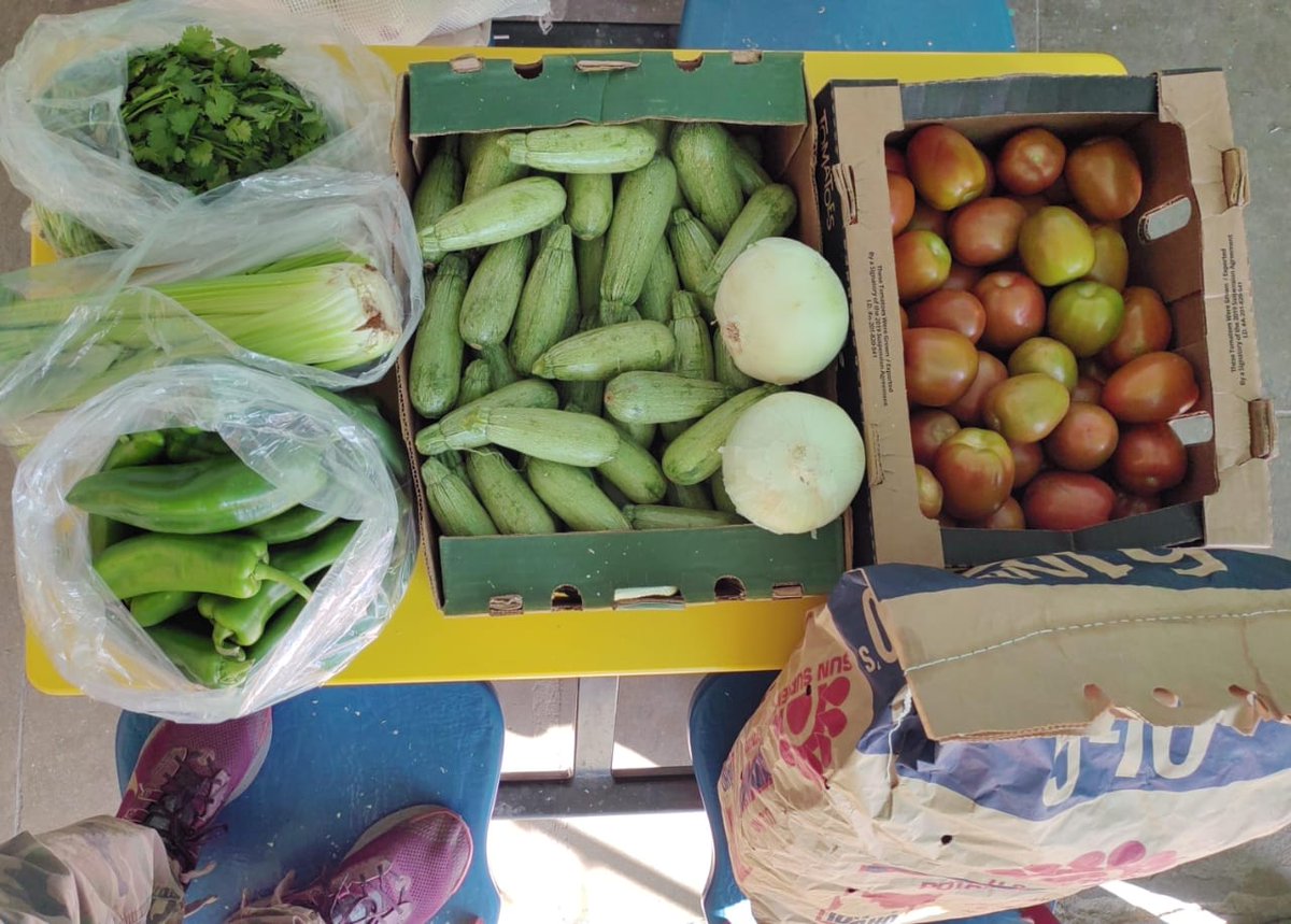 CulturaVerdeAC's tweet image. 📦📄 ¡Cartón y papel que alimentan corazones! 🍽️💚

El pasado miércoles 02 de abril, realizamos una nueva entrega de cartón, libros y papel a Reduce tu huella,  materiales que fueron recolectados en la Unión de Usuarios de Hermosillo, A.C  y transformados en alimentos para el…