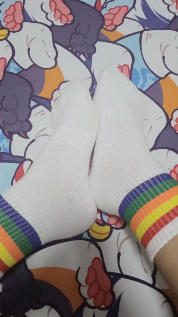 5921furry's tweet photo. 肚肚和白袜喜欢哪一个？🤤#白袜 #彩虹🌈 #胖胖 #猪熊 #小胖子 https://t.co/QeVyj3yGDb
