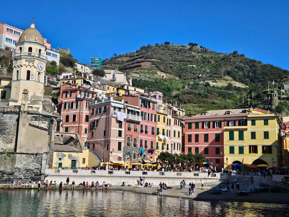 Proviseur CARNOT CANNES tweet media