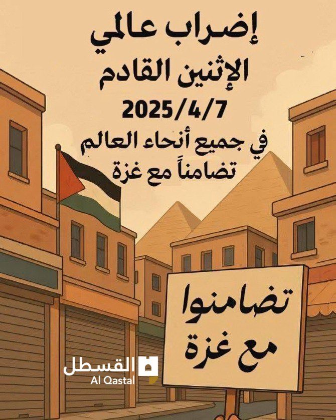 Ania El Afandi آنيا (@ania27el) on Twitter photo 