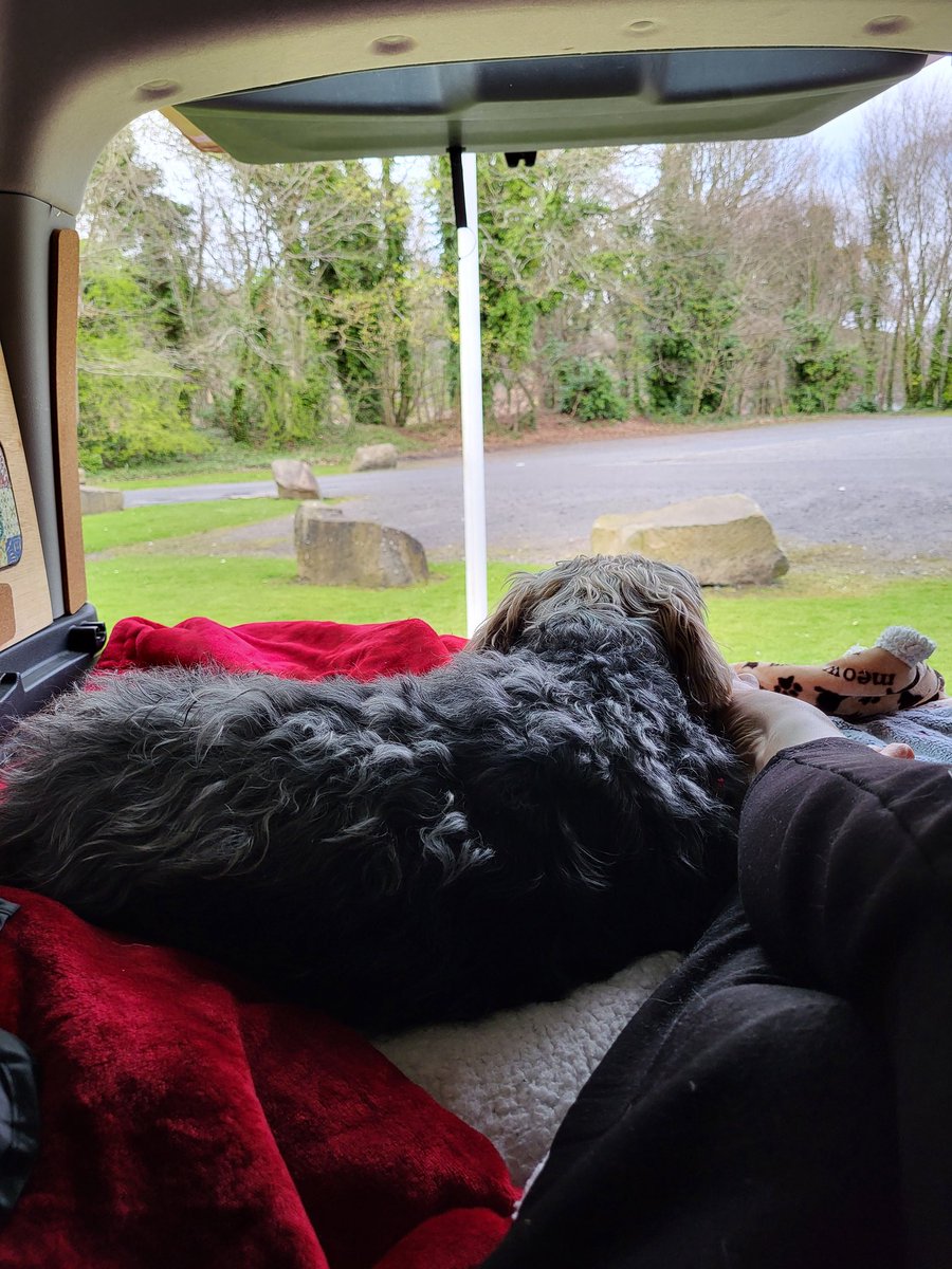 Just sitting here watching the world go by 🤣 its a hard life 😄