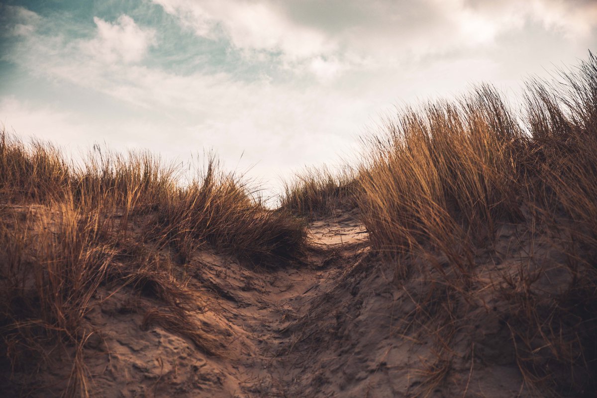 De Panne

#Belgie #Belgique <a href="/belgie/">België 🇧🇪</a> <a href="/CanonFrance/">Canon France</a> <a href="/Lightroom/">Adobe Lightroom</a>