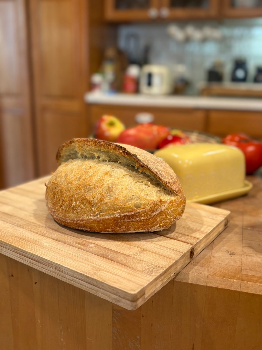 GrumpyAssPug's tweet image. I'm learning to laminate and wow.  Game changer and super fun.  @SourdoughWeekly