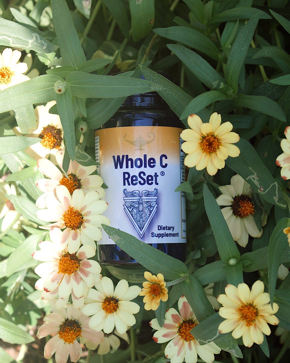 RnAReSet's tweet image. A new season calls for steady support. 🌼 Whole C ReSet fits right in—bright, balanced, and here to help you feel good.

#wholecreset #springwellness #vitamincsupport #seasonalhealth #rnanaturals #gentlewellness #springvibes #everydayessentials