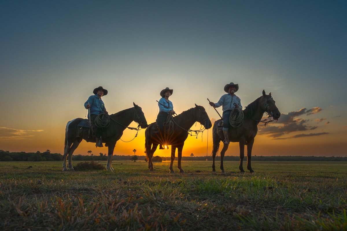 Cultura del Llano! 
El lujo de viajar por Colombia!