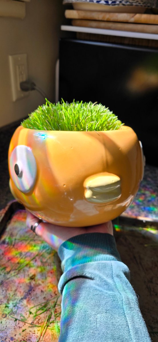 𝐒𝐭𝐚𝐫𝐟𝐨𝐱💫🦊 tweet media