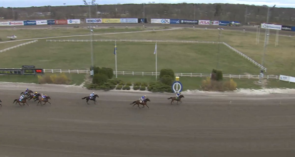 Det blev en andraplats för mig och Nightrain Boko i hans debut i monté på Kalmartravet idag🥈