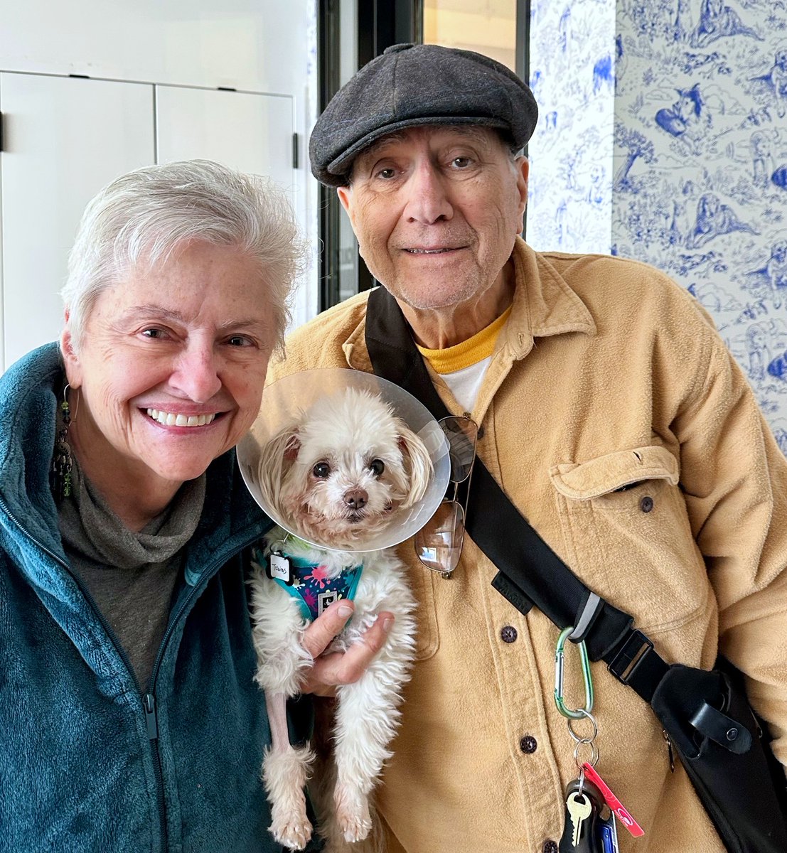 TOBIAS came to us from Sutter County, his mouth was a mess and he wasn't neutered. We took care of that and this lovely couple from Napa had to have him. 🎉 What a cute picture! Enjoy your new life, Tobias!