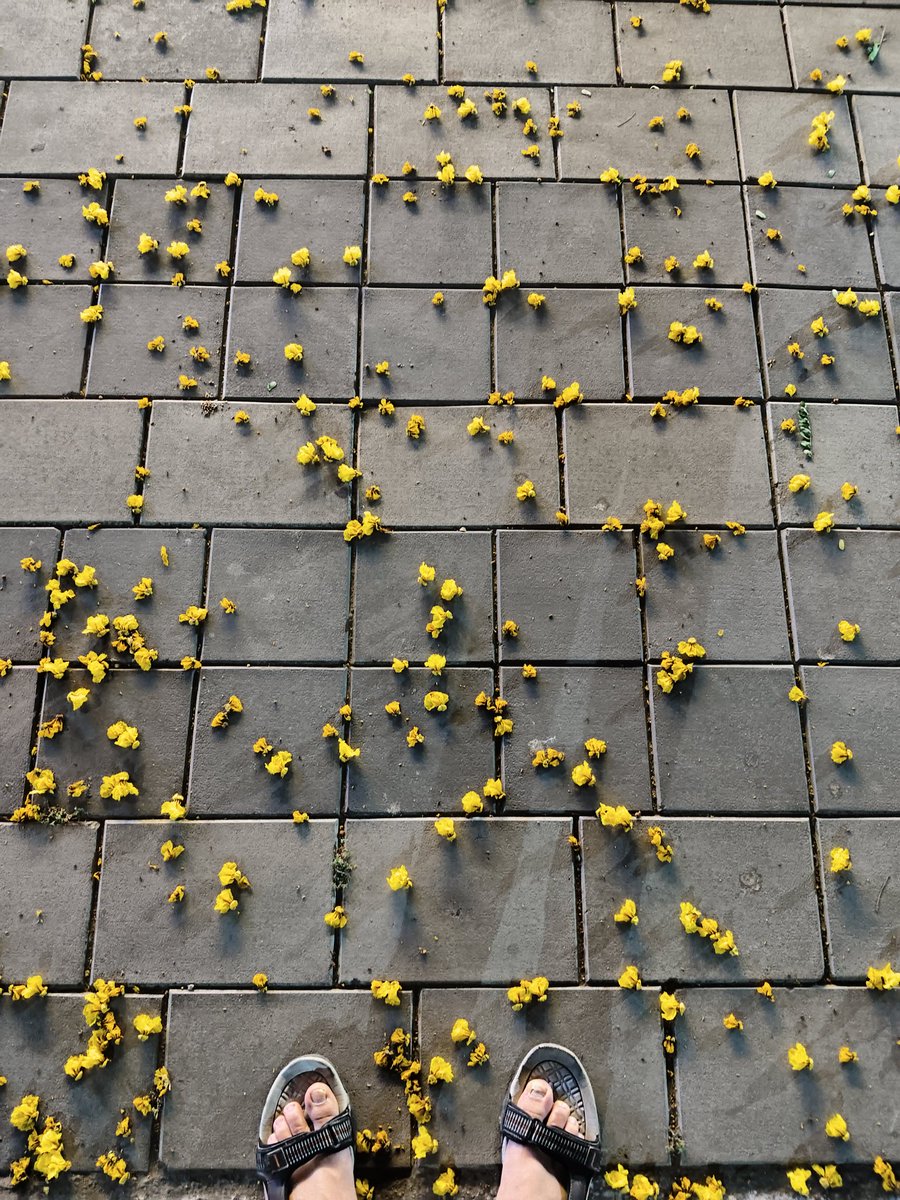Bhubaneswar's streets are best for an evening stroll 💛