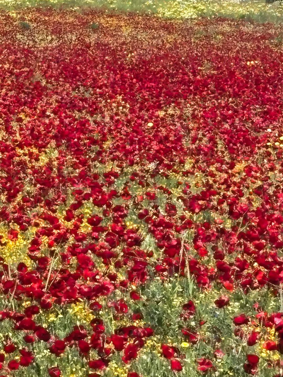 AntaMicha's tweet image. Υπάρχει και αυτό... ευτυχώς