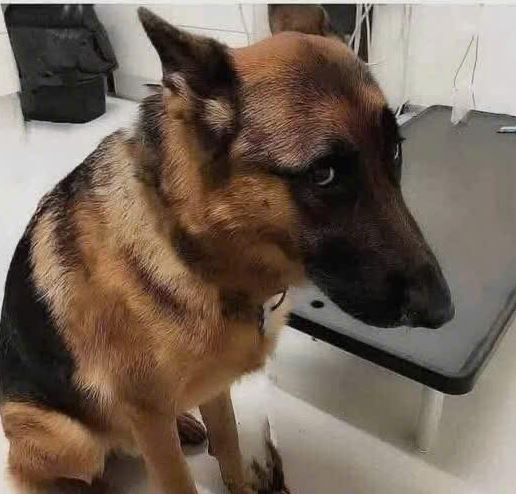 I'm not going to get a kiss because I'm not perfect🥰