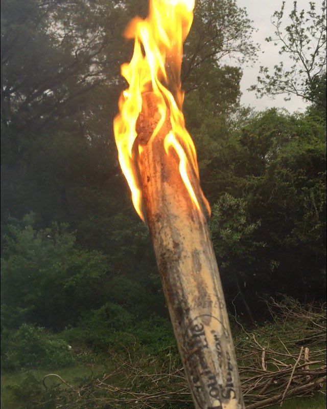 CaseyForDayz's tweet image. Abreu’s bat. 🔥#STLvsBOS #dirtywater