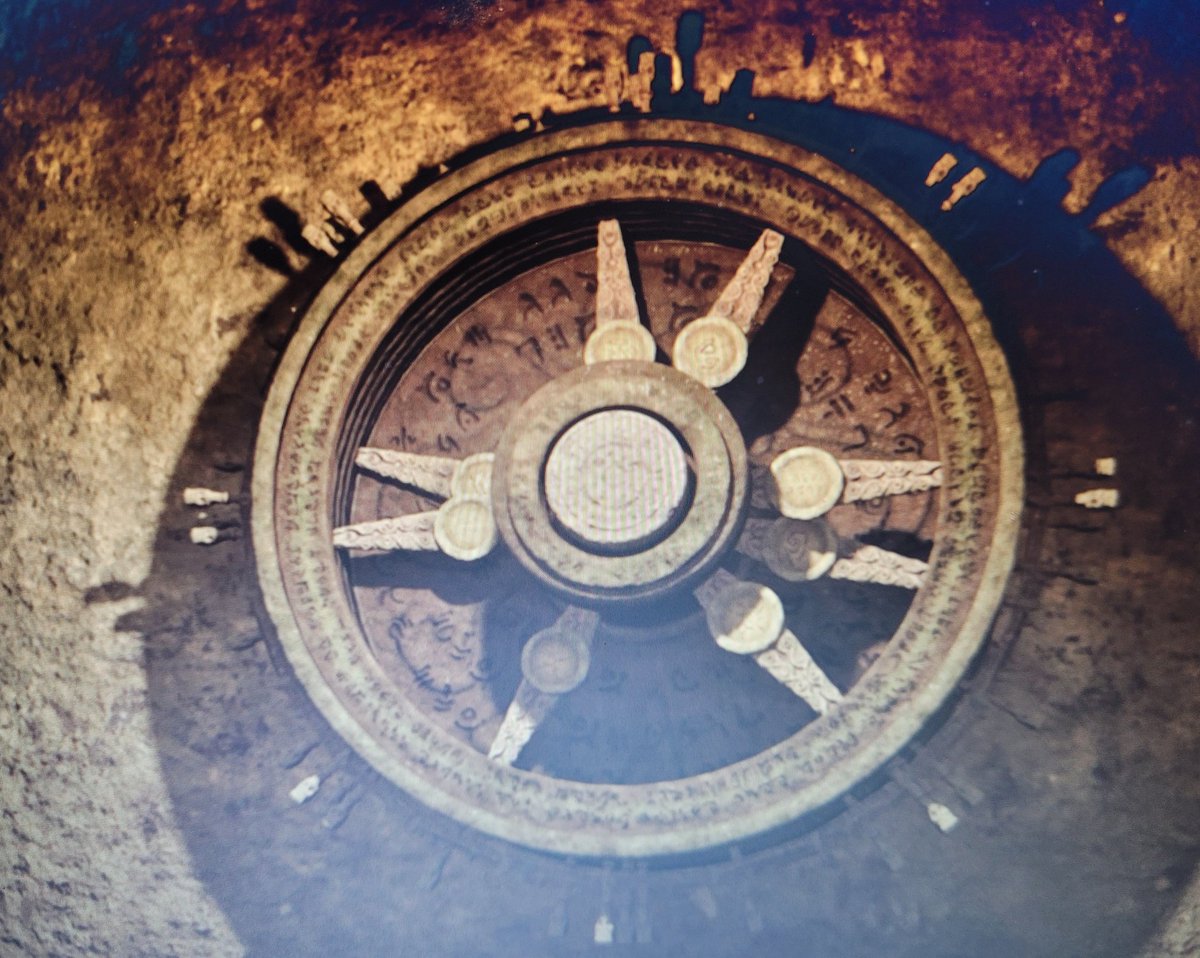 ReaniMates Podcast tweet media