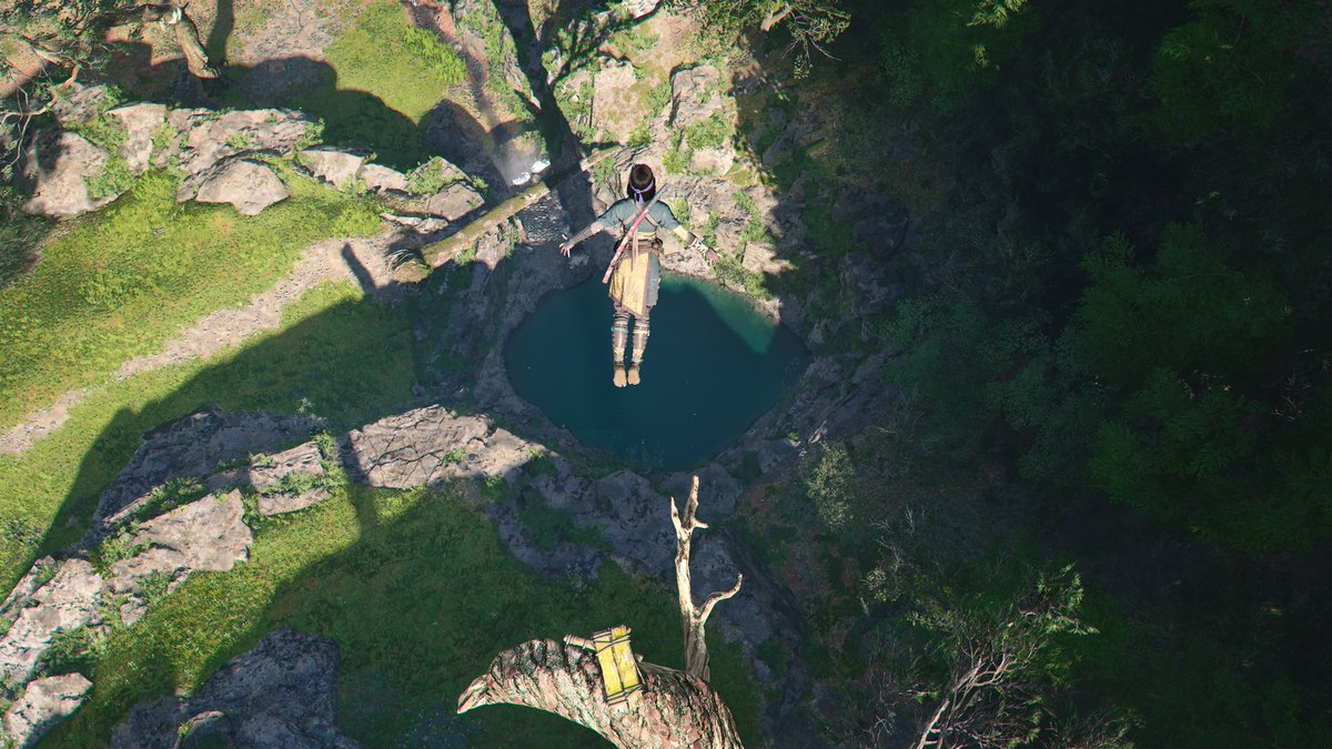 Raphael Alexander tweet media