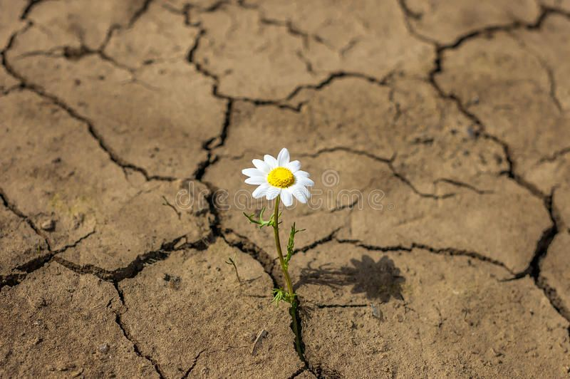 unpluggingOK's tweet photo. Reflections of a Recovering Prodigal

https://t.co/iFLqDccZgb https://t.co/eYljeyzXXD