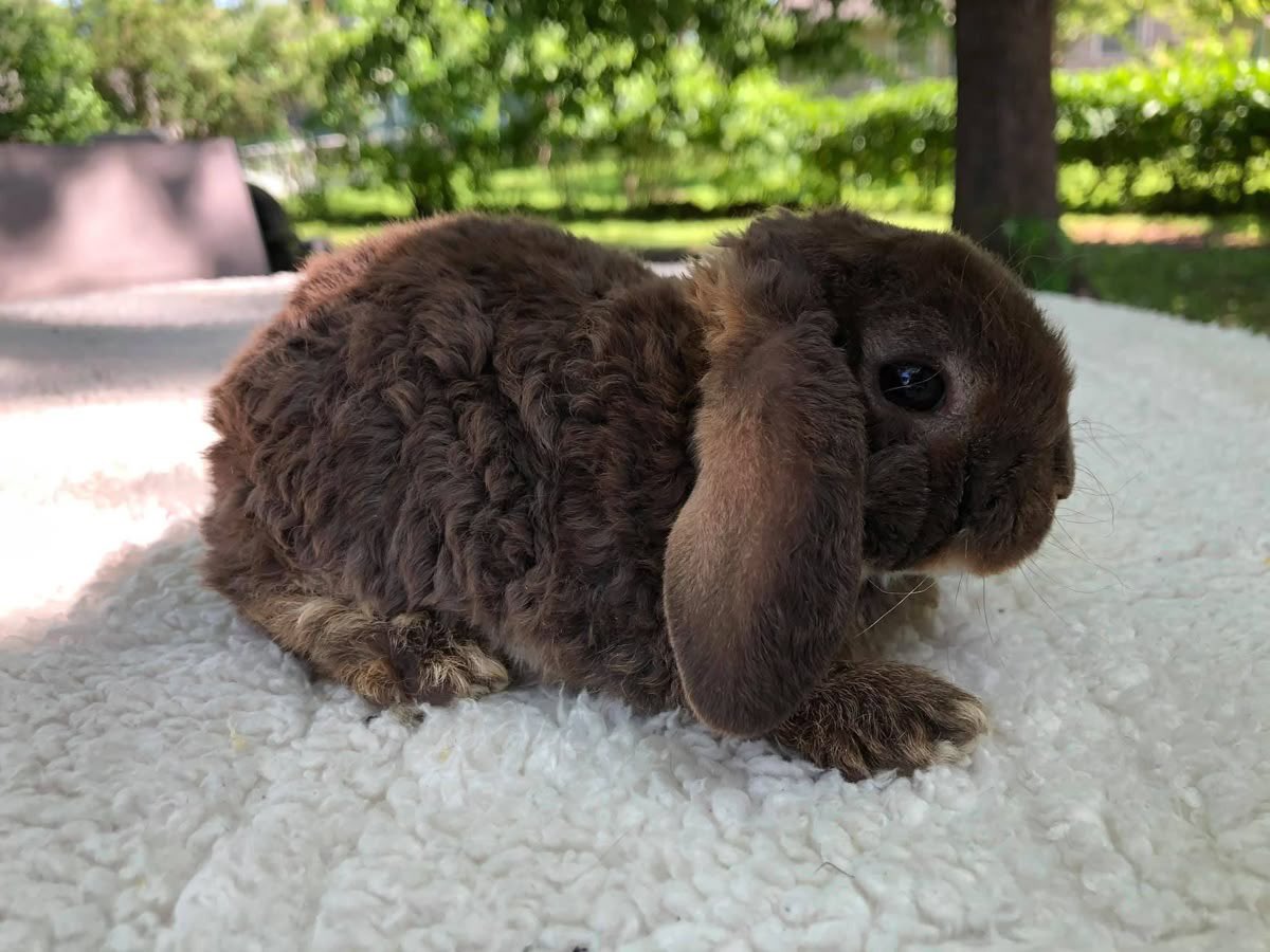 Bunnies's tweet photo. https://t.co/uLq9CswTTo