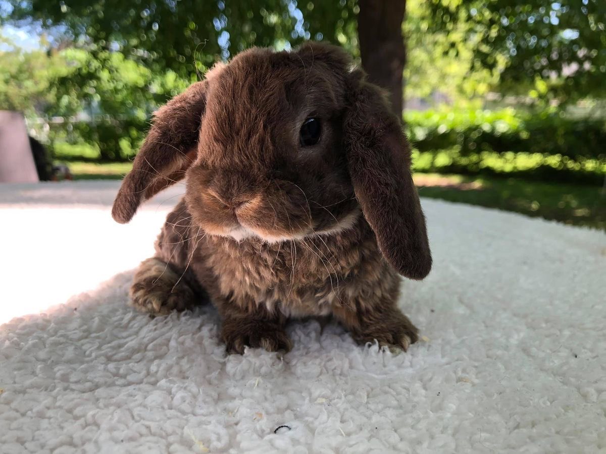 Bunnies's tweet photo. https://t.co/uLq9CswTTo