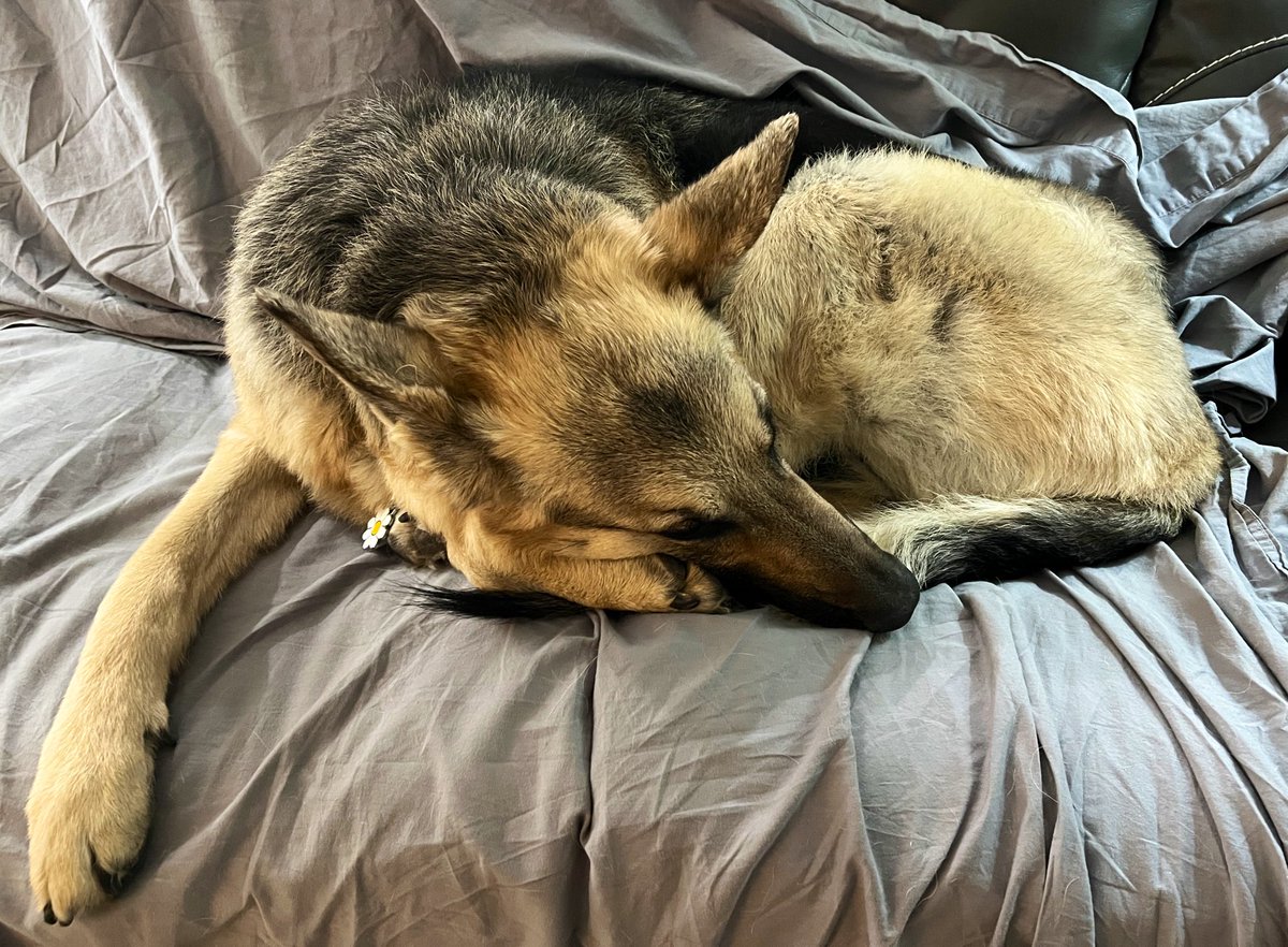 Hey y’all, I’m gonna be doing some rock songwriting on stream today cause I had a good idea I think. Starting at 5 PM Pacific!