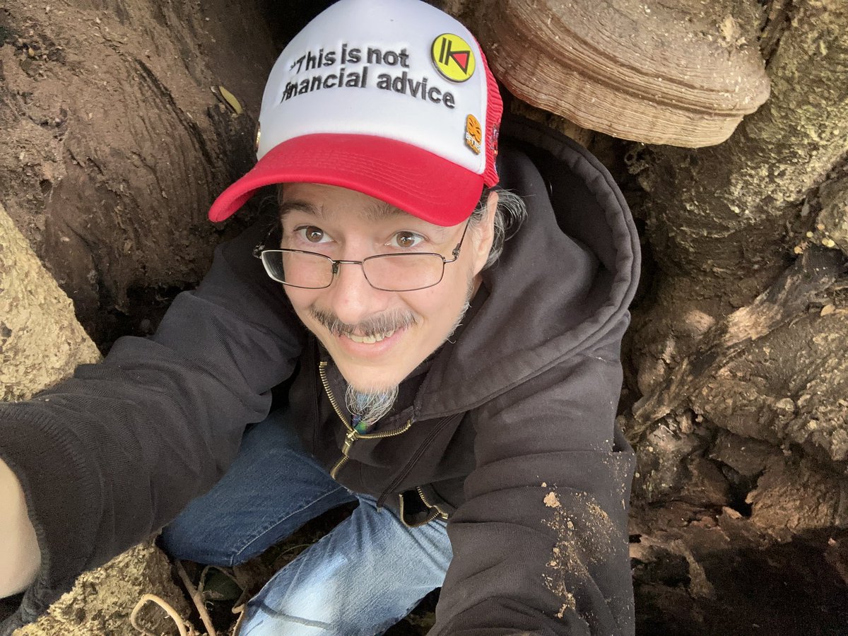 ez_cbd's tweet photo. Inspired by our modern day Lorax… @JimiCohen in the 24/7 @treegens space, on my walk today I made sure to #touchtrees I def #touchedtree on multiple occasions!!!🤠💪
In fact I climbed one & took the opportunity to get inside another…😂🤙
(Including a shot of the tree cavity I climbed into, was a little concerned about brown recluse bites, but had a nice thick hoodie for protection so went for it)😉🙌