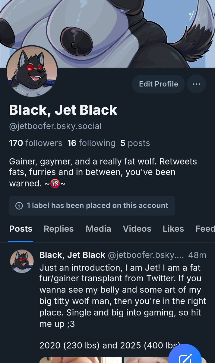 jetboofer's tweet photo. Hello all! I won't be posting much here anymore, I've made my transition over to the blue place. I've been growing again! So check me out over there, I just made a 5 year comparison post :3 https://t.co/0QeK0xN0k6