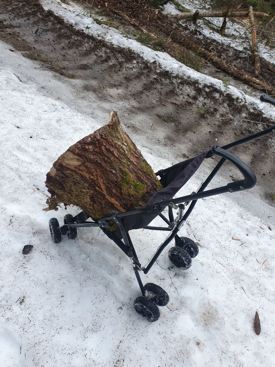 Maybe one of the weirdest things I have done so far:

Dragged a ca 40kg piece of cut tree stem out of the forest on a stroller 😅🤣

Yes, people even saw me.
Yes, they understood why I did it.
And yes, one of them helped me 🥰🤣