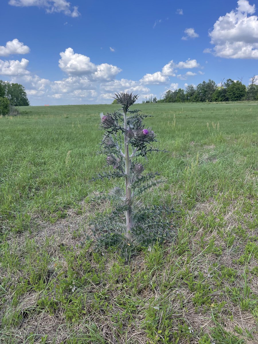 Jon Cockerham tweet media