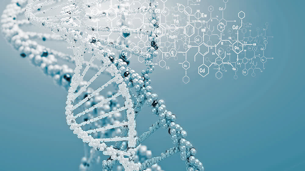 ICRscience's tweet image. 🧬 In human beings, the genetic material within a single cell is about six feet in length, needing to fit within an incredibly small space. This arrangement couldn't have come about through random, hit-or-miss natural processes.

icr.org/article/a-3-d-…

#ICRdiscovery #Acts&amp;amp;Facts