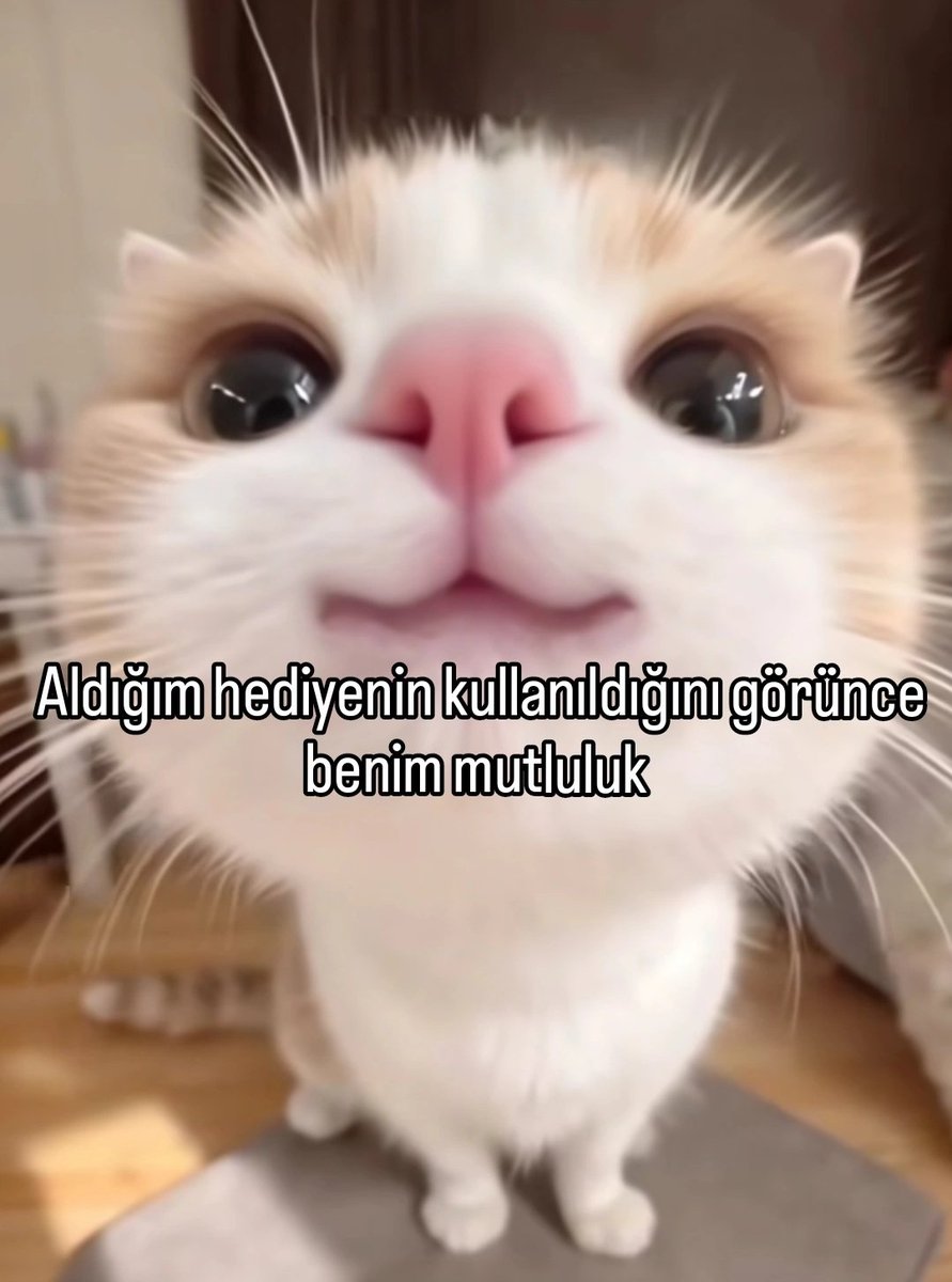 ANLIK (@anlikmod) on Twitter photo 