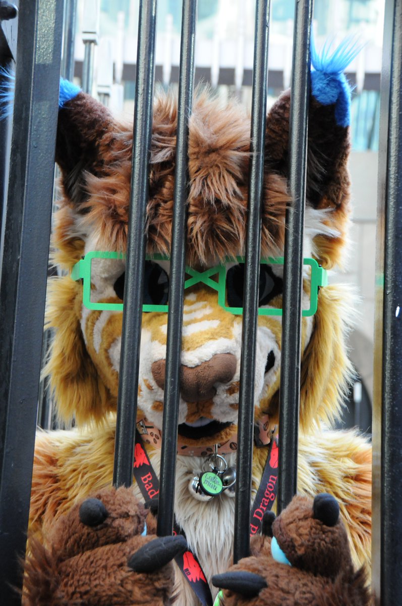 nuuu, you can't put nerdy cat into jail 🥺 
...i heard the stories of what happens to them there 👀 

📷 my sister 😁