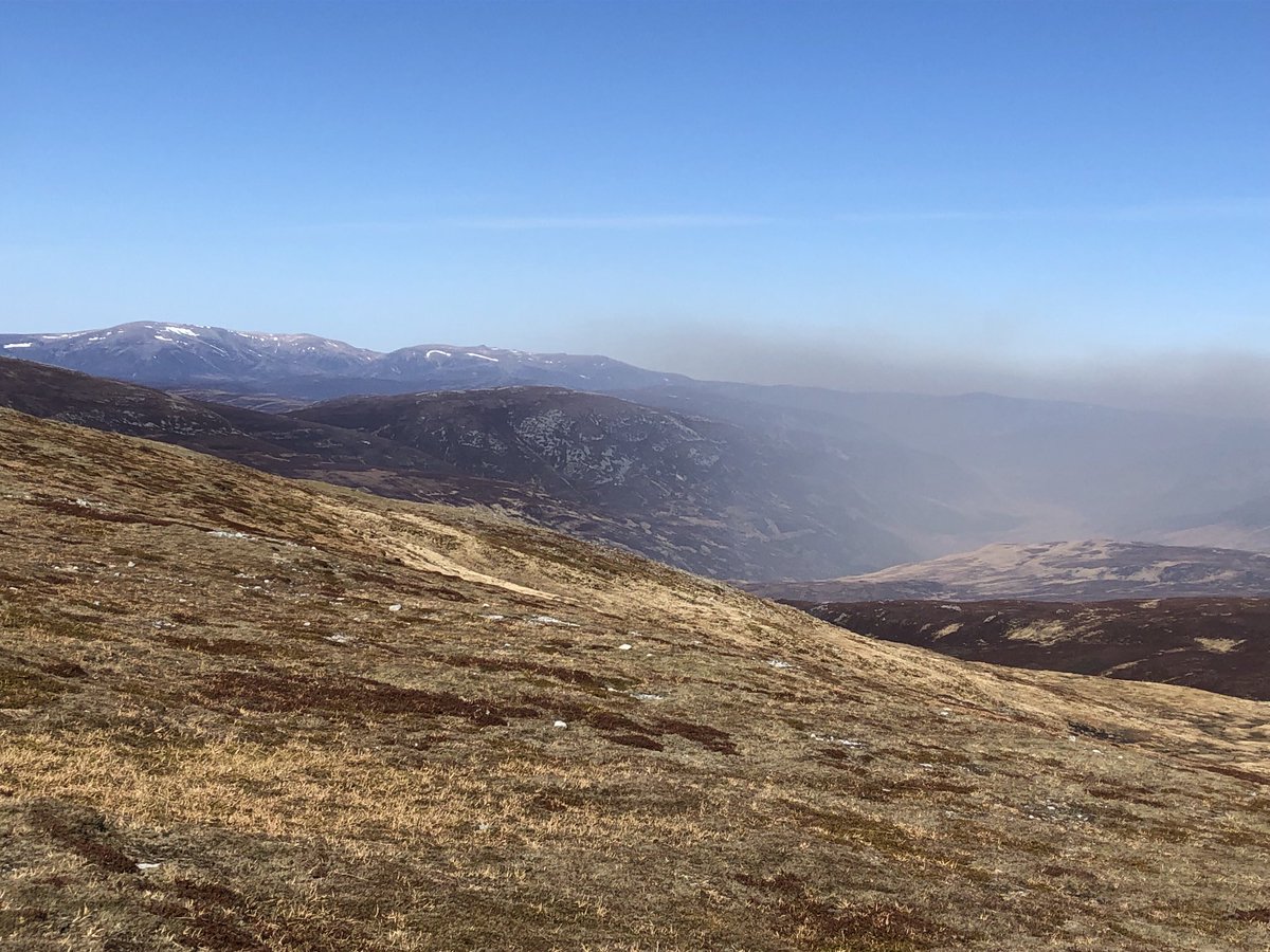 LandscapeAngus's tweet photo. Muirburn smog, Deeside https://t.co/VUyixsLTct